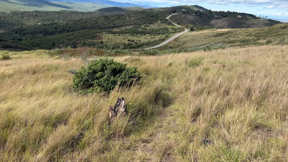 Mountain Drive