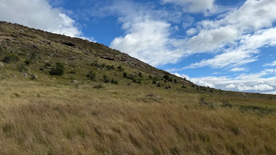 Below the toposcope