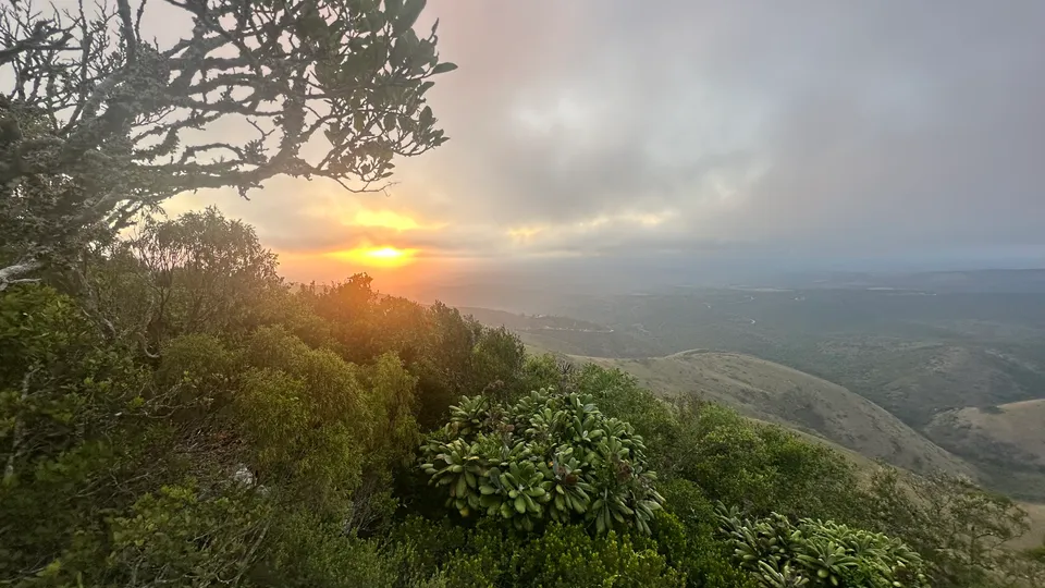 Early morning view point