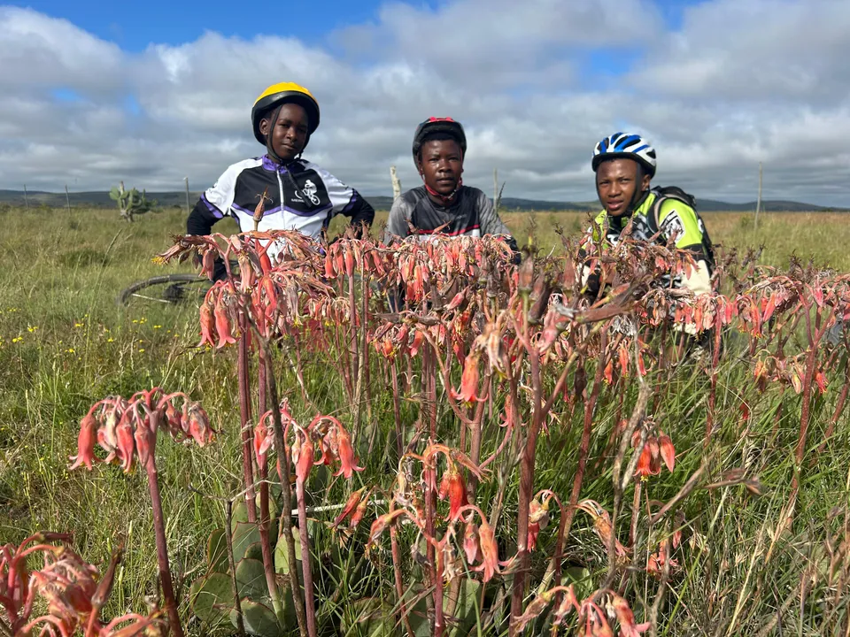 Ama Riders