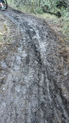 motorbike damage1