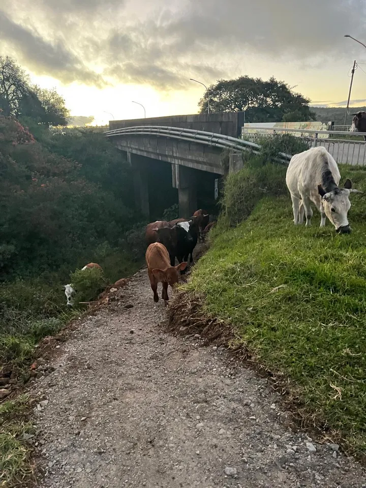 Traffic jam on the underpath