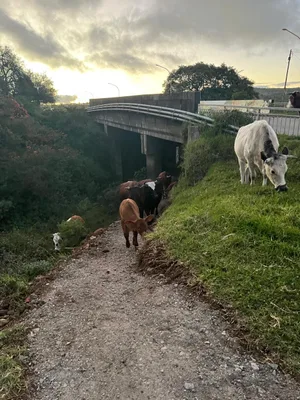 Traffic jam on the underpath