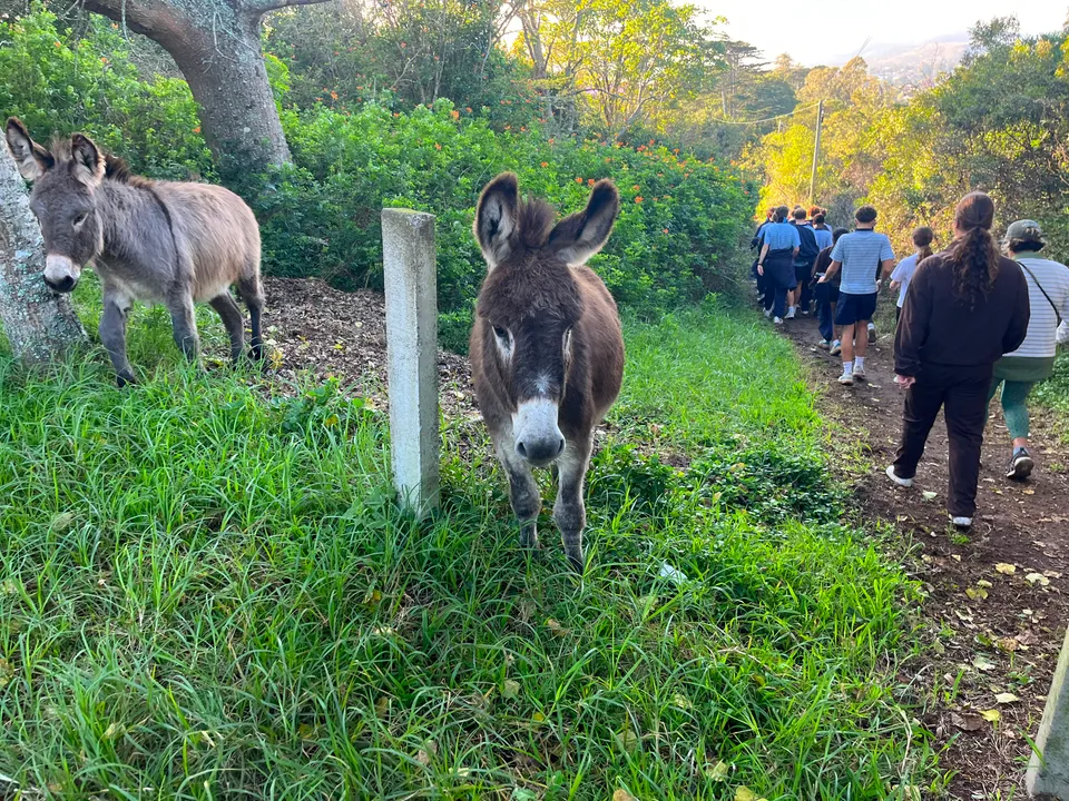 Donkeys, SAC boys and DSG girls everyone loves the new trails