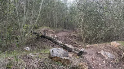 Railway Line dip from Bond Street Junction