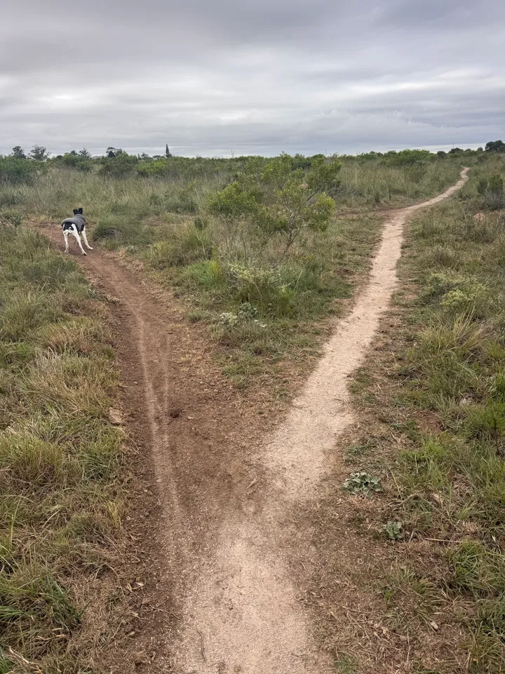 Trail run Hill 60 with left hand side access to short cut towards quarry trail