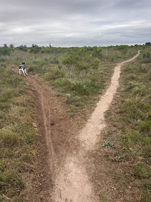 Trail run Hill 60 with left hand side access to short cut towards quarry trail