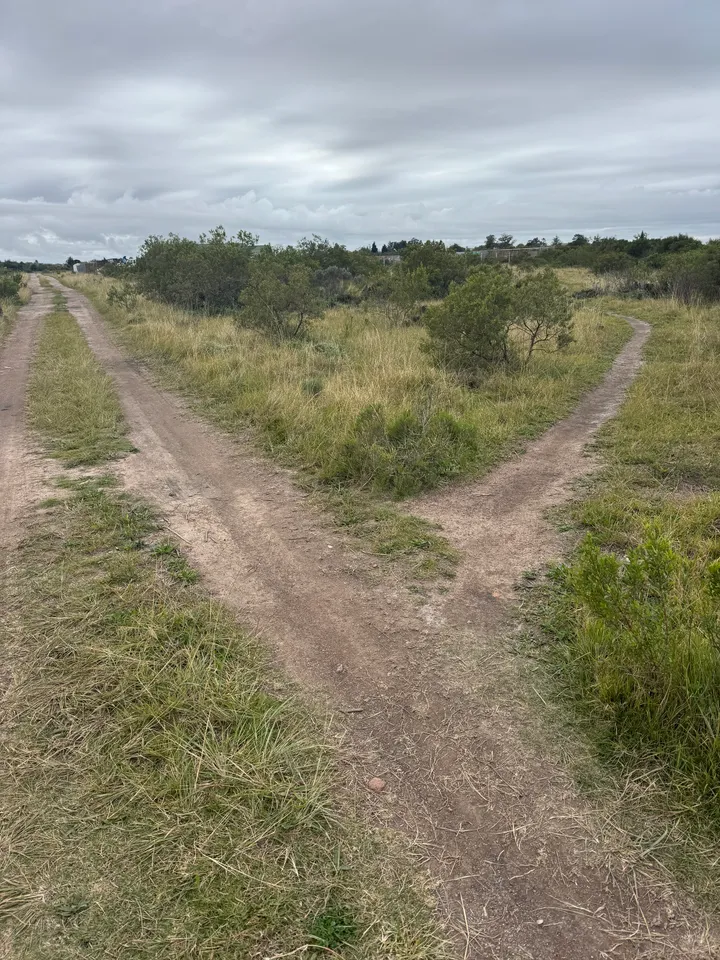 Jeep track Hill 60 with right hand access to single trail back to Schonland avenue
