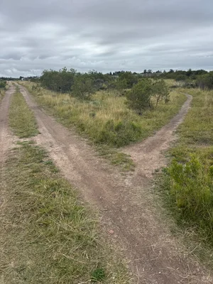 Jeep track Hill 60 with right hand access to single trail back to Schonland avenue