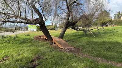 Bridge through weeping willow Hill 60b