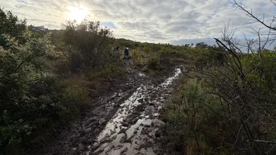 Trail before fixing - water damage