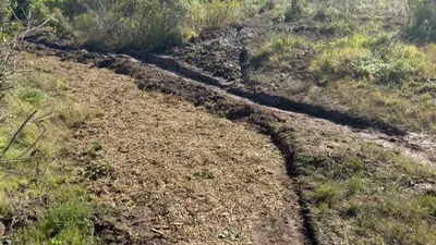 Trail after fixing