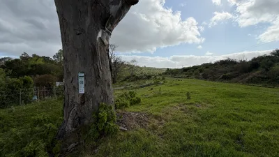Craddock Rd Dam Path