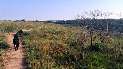 Single Trail Worcester Valley